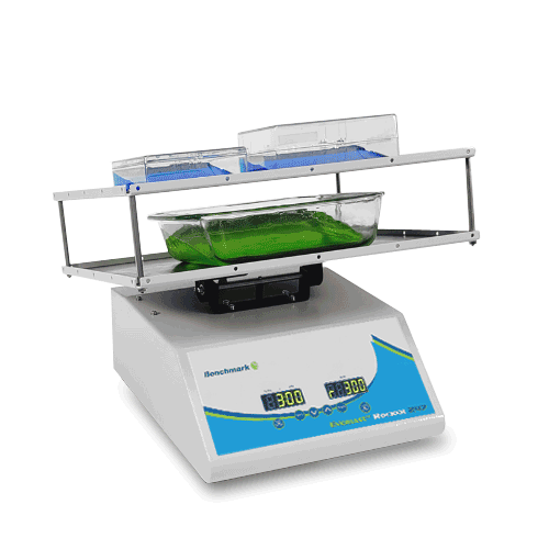 Everlast™ Rocker With Variable Speed And Flat Mat