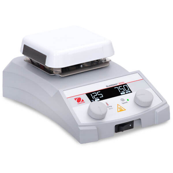 E-G31Hs04C