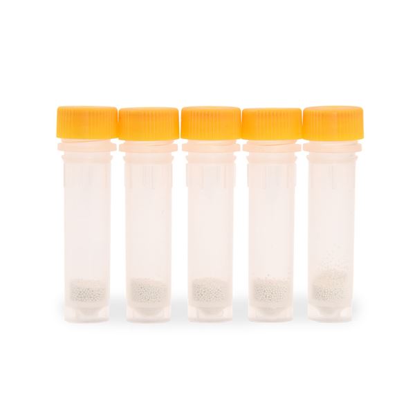 2Ml Tube, Yellow, Yeast, 100/Box