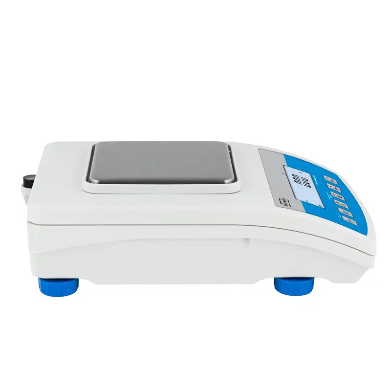 Wlc 0.6/A1/C/2 Precision Balance